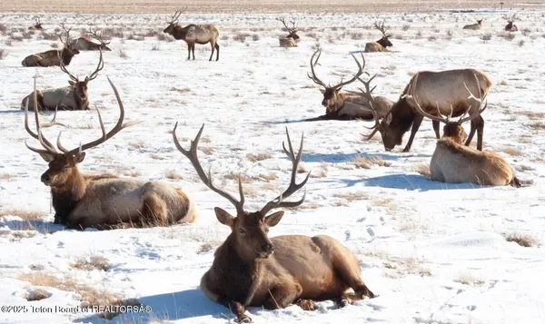 $1,525,000 | 630 Grandview Drive, Alpine, WY 83128