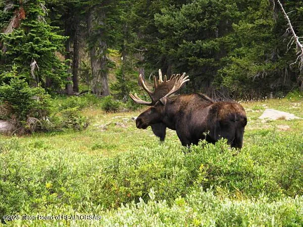 $1,525,000 | 630 Grandview Drive, Alpine, WY 83128