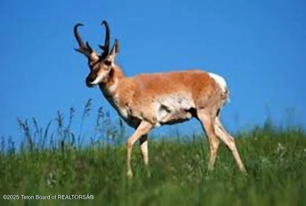 $1,680,000 | 630 Grandview Drive, Alpine, WY 83128