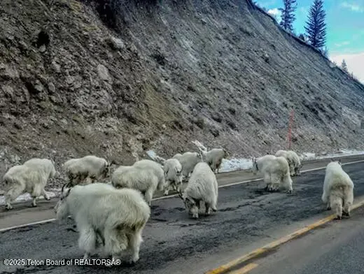 $1,525,000 | 630 Grandview Drive, Alpine, WY 83128