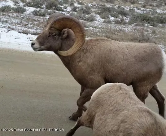 $1,680,000 | 630 Grandview Drive, Alpine, WY 83128