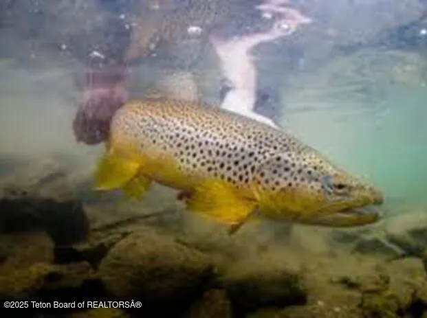 $1,680,000 | 630 Grandview Drive, Alpine, WY 83128