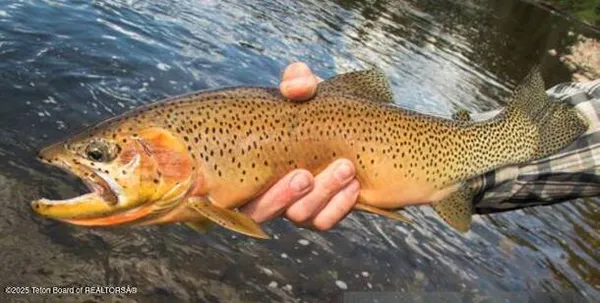 $1,525,000 | 630 Grandview Drive, Alpine, WY 83128