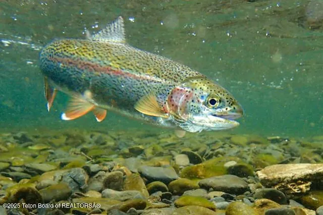 $1,680,000 | 630 Grandview Drive, Alpine, WY 83128