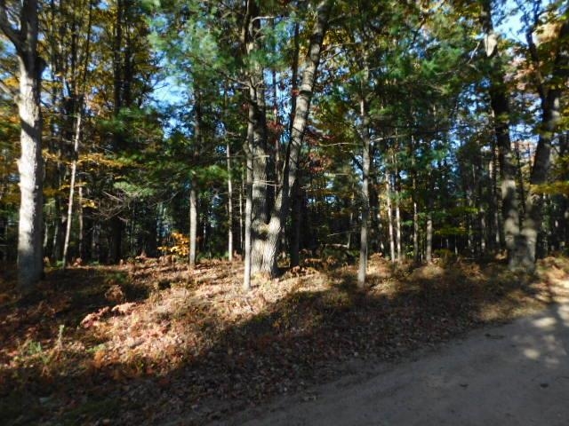 South River Road Kalkaska, MI 49646 - Photo 4 of 8 Gallery Image 4
