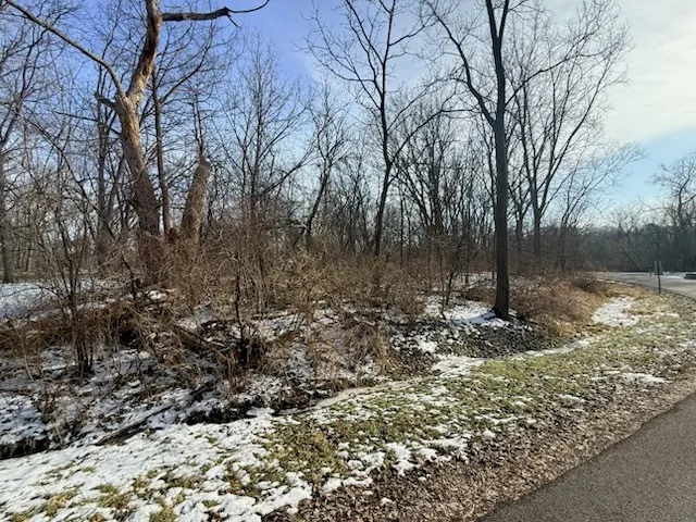 a view of a tree in the yard