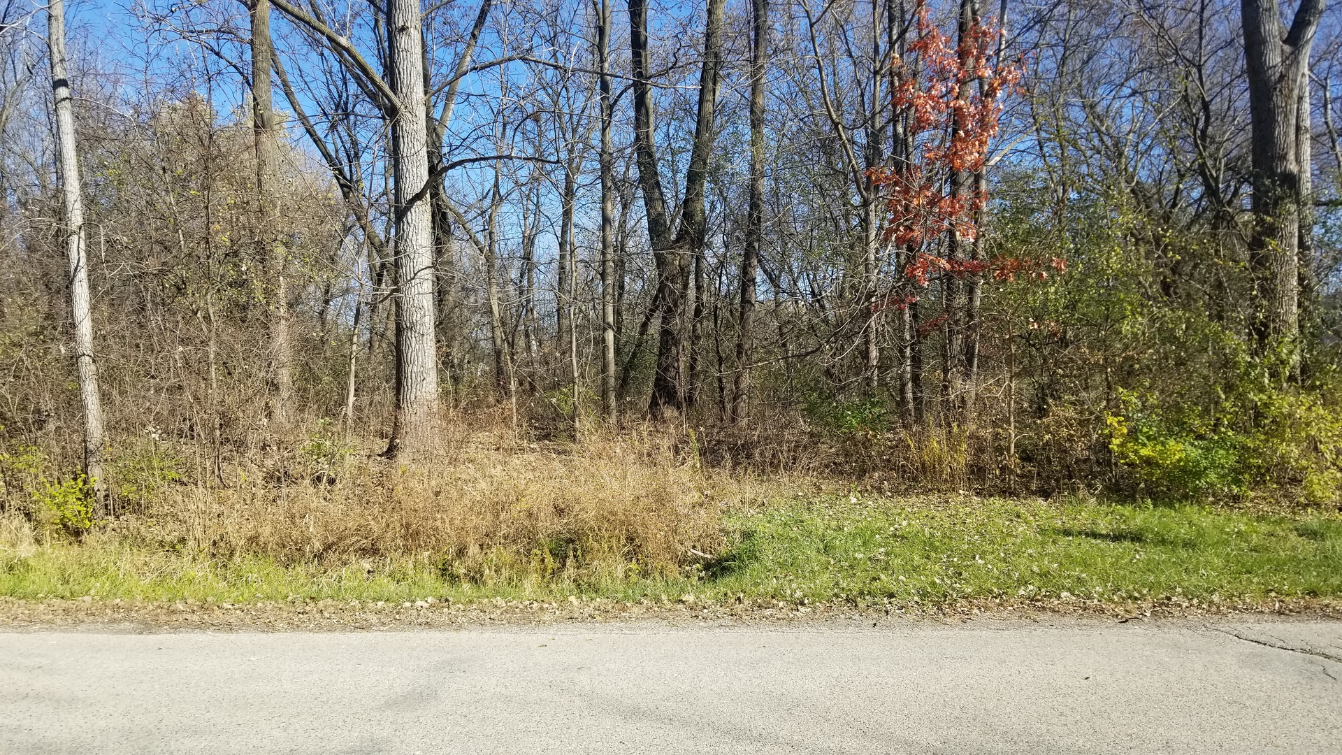 4802 Brorson Lane Johnsburg, IL 60051 - Photo 3 of 7