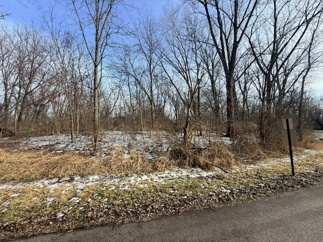 a view of a forest with trees