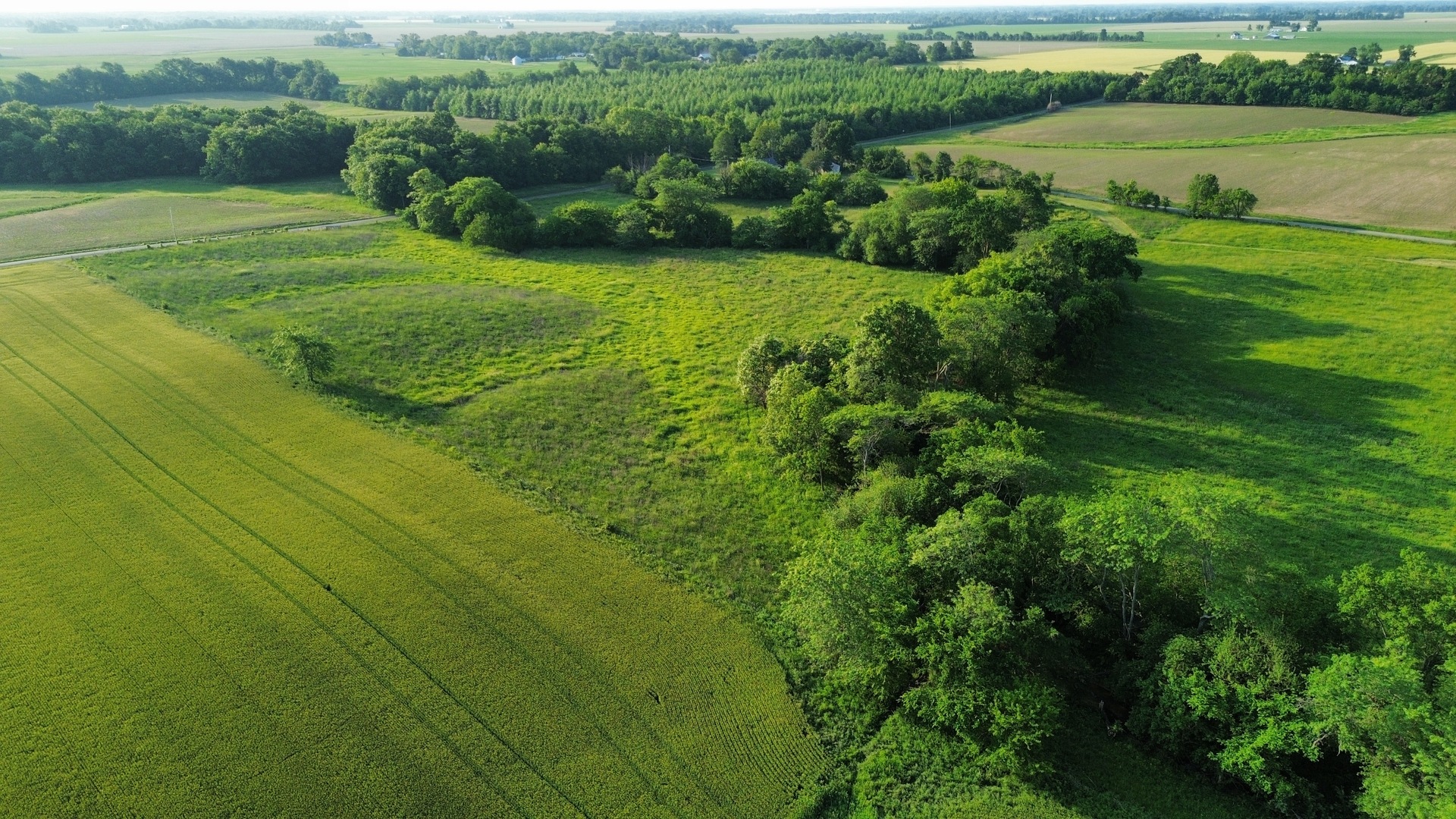 0 County Highway 29 Road Rinard, IL 62878 - Photo 7 of 28