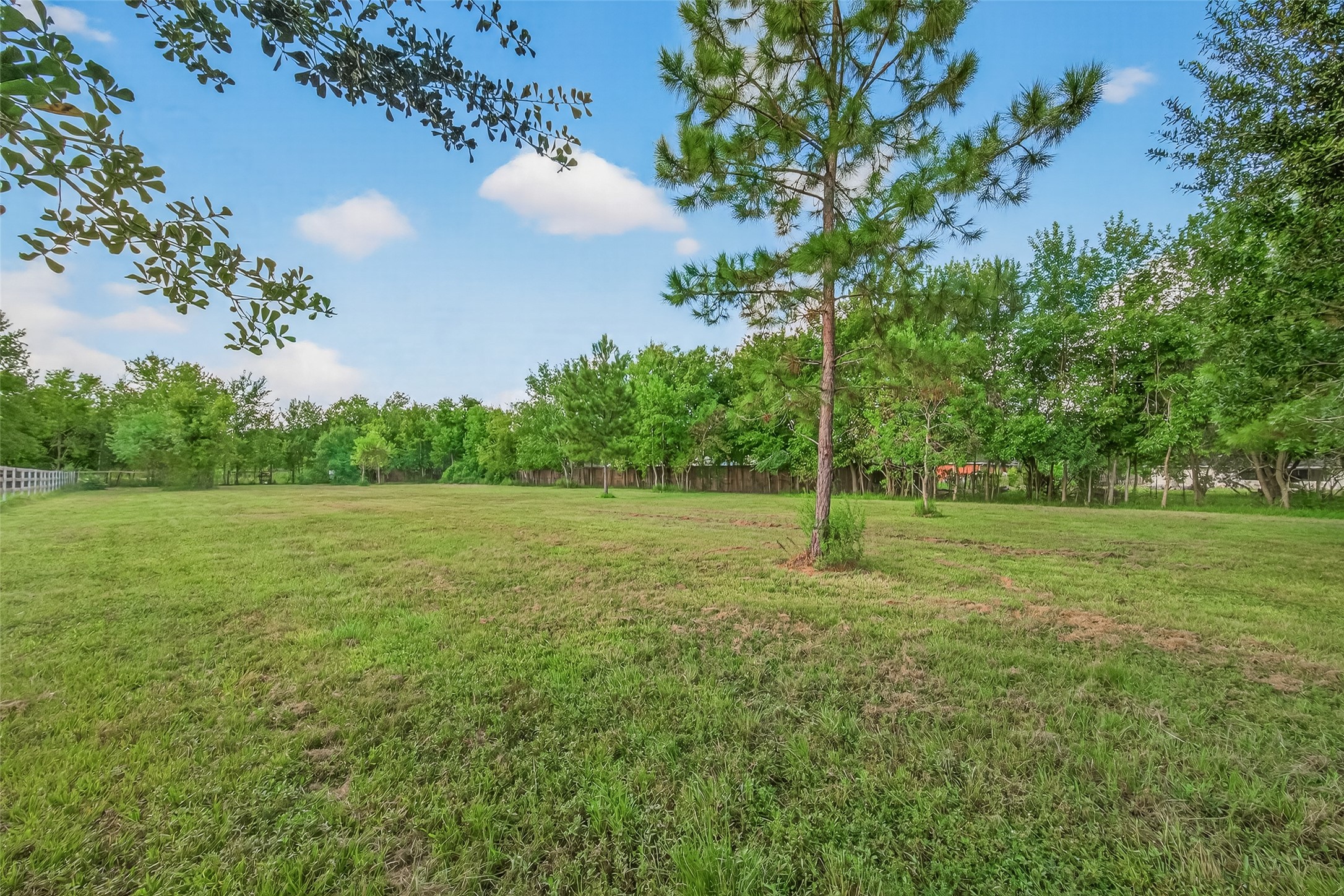 a view of a field with trees