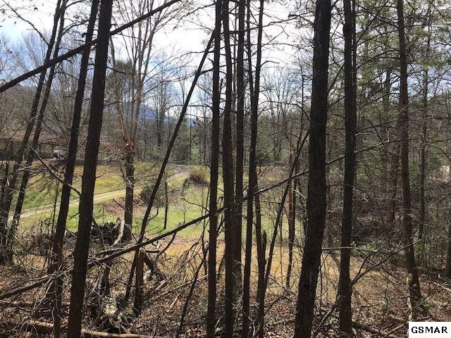 10 Reed Ridge Road Gatlinburg, TN 37738 - Photo 5 of 8
