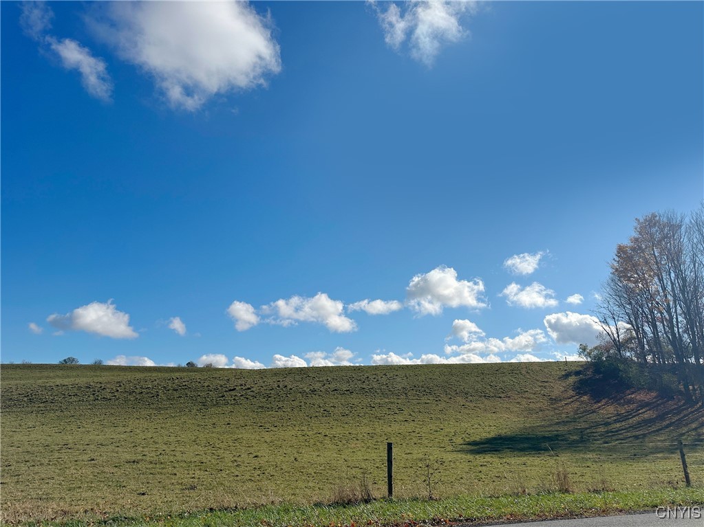 14445 Fuller Road Adams, NY 13606 - Photo 3 of 23