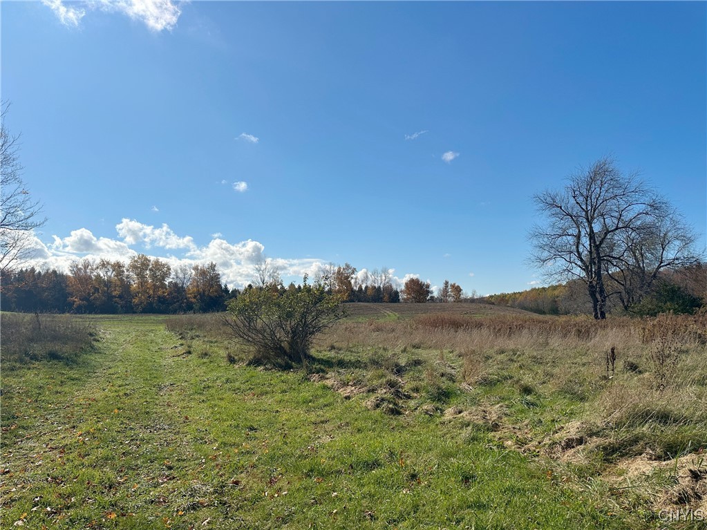 14445 Fuller Road Adams, NY 13606 - Photo 8 of 23