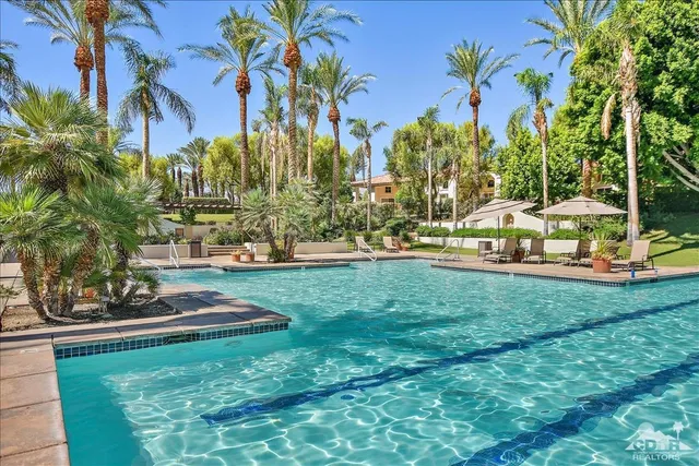 a view of a park with large trees