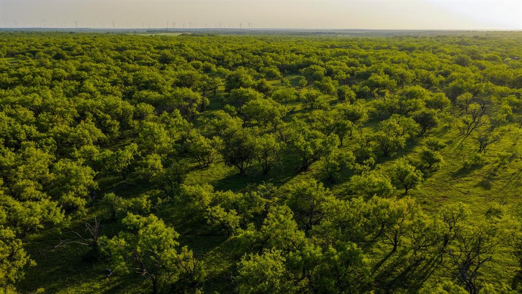 10000 Fm 209 Graham, TX 76450 - Photo 30 of 40