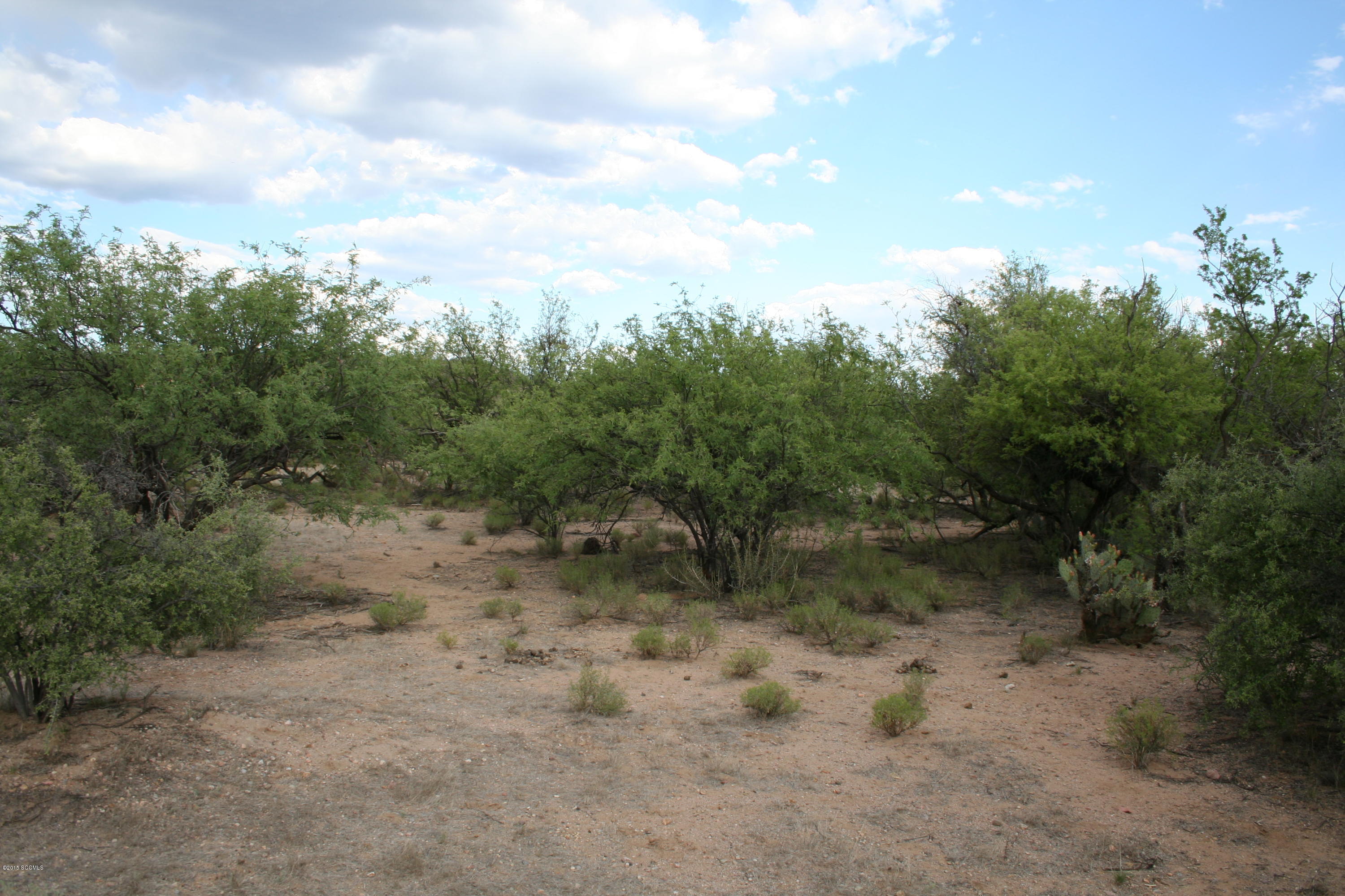 Tbd Tbd Chavez Siding Road, Unit 3 Tubac, AZ 85646 - Photo 1 of 10 IMG_3837