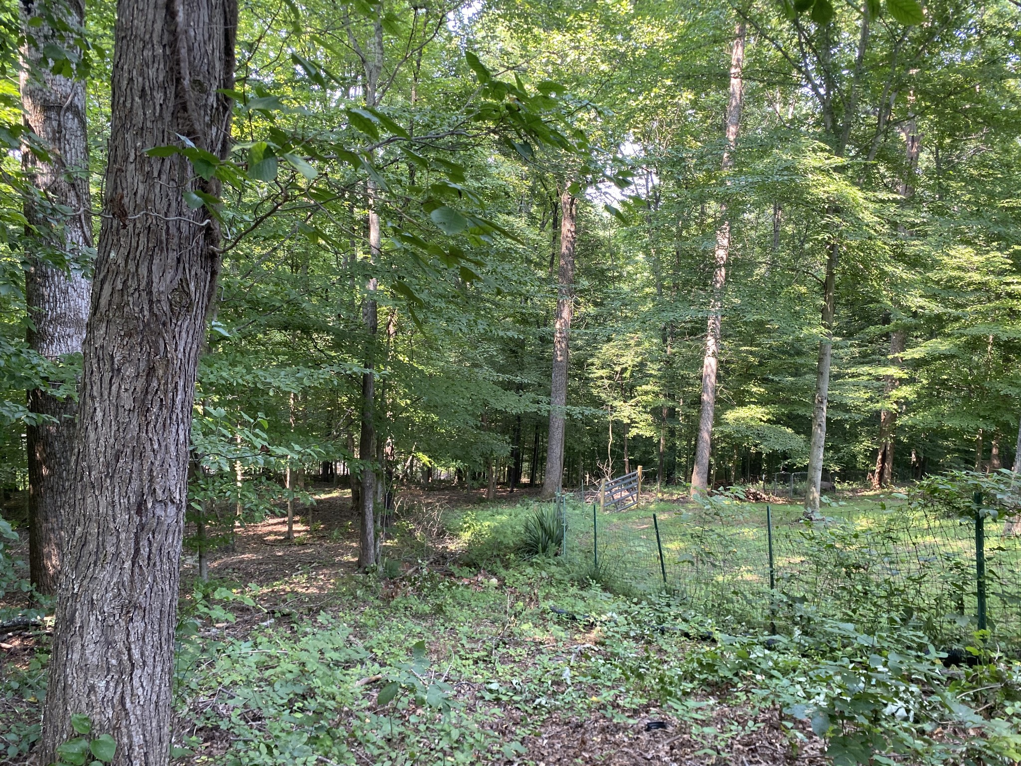 7549 King Road Fairview, TN 37062 - Photo 23 of 29 a view of outdoor space with green field and trees