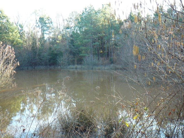 2.52-acs Shaw Road Iva, SC 29655 - Photo 2 of 6