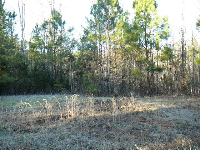 2.52-acs Shaw Road Iva, SC 29655 - Photo 6 of 6