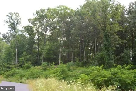 a view of outdoor space and green field