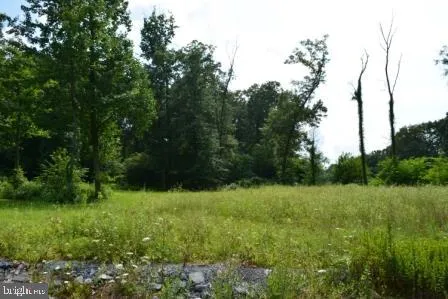 a view of a backyard of a house