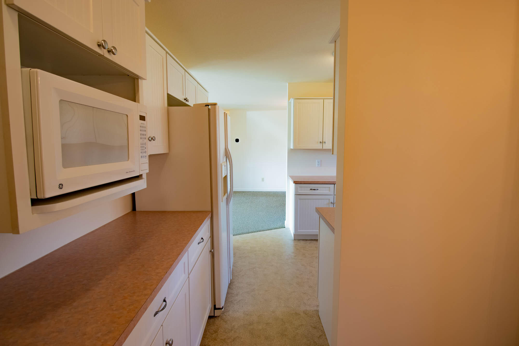 3792 West Monroe Road Hart, MI 49420 - Photo 8 of 41 3792 W Monroe-3