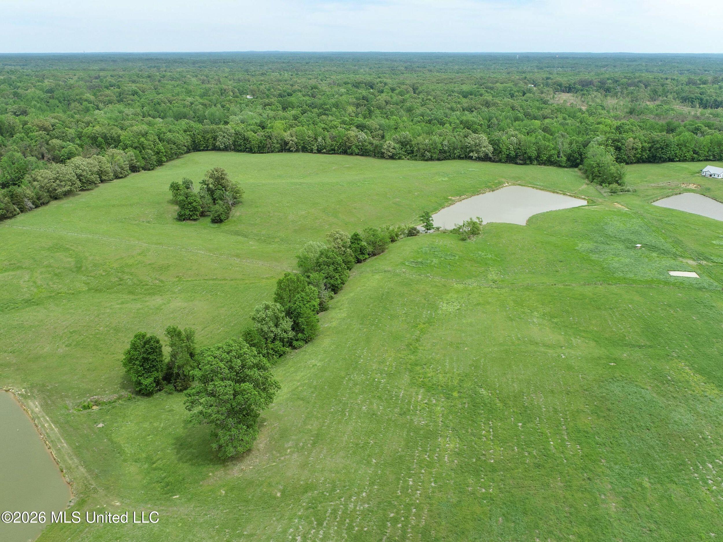 116 Hawkins Road Courtland, MS 38620 - Photo 15 of 200 2tamtgm9