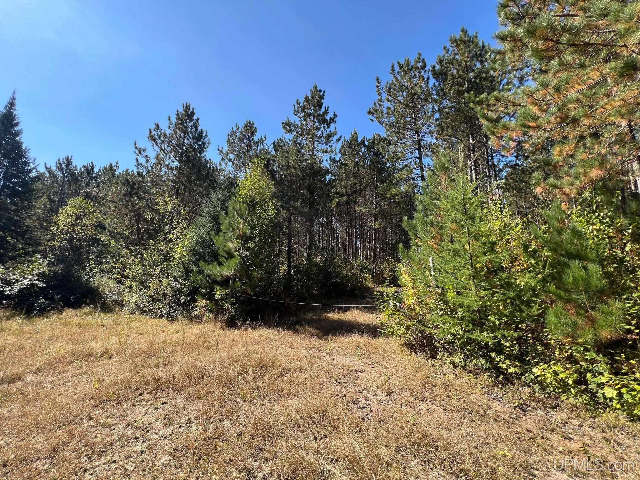 Off Usfs Trail, Unit 2440 Wetmore, MI 49895 - Photo 22 of 34