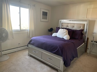 4819 West Engle Road, Unit 3A Alsip, IL 60803 - Photo 14 of 20 a bedroom with a bed and window