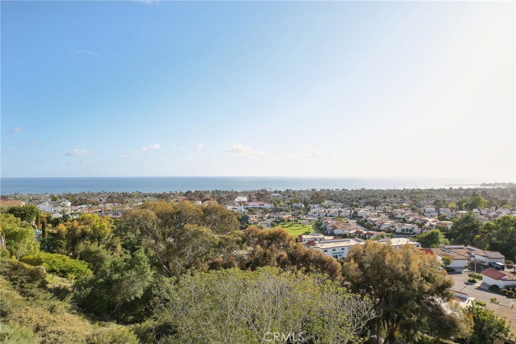 3 Via Pasa San Clemente, CA 92673 - Photo 46 of 55