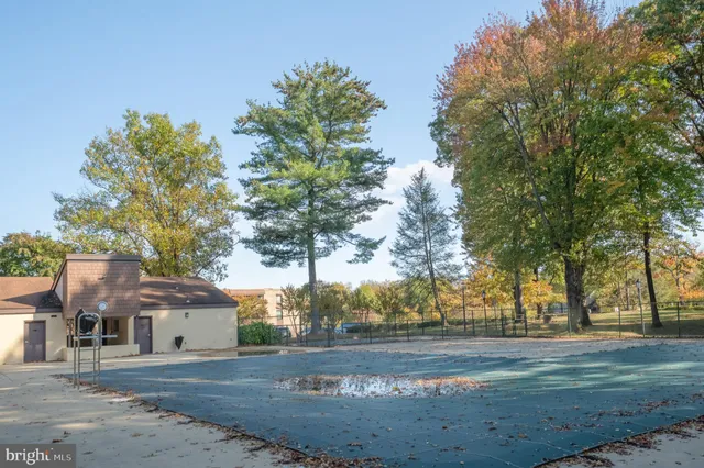 a view of yard in front of house with trees