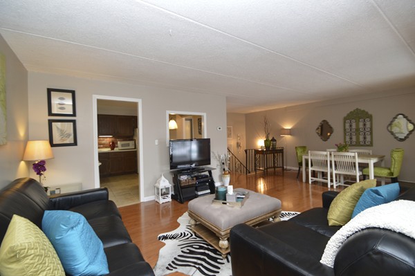 146 Marble Street, Unit 211 Stoneham, MA 02180 - Photo 20 of 20 a living room with furniture and a flat screen tv