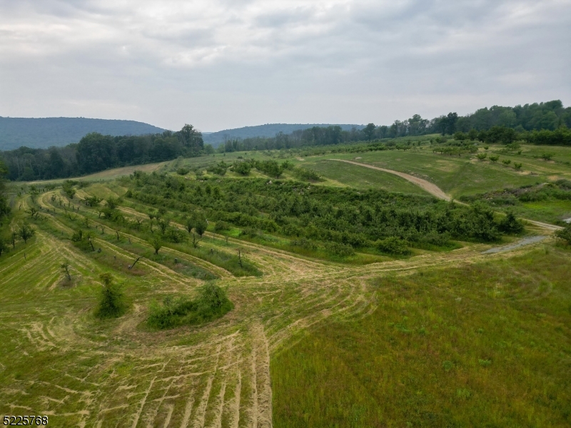 131 Karrville Road Port Murray, NJ 07865 - Photo 3 of 23 a view of a field with an trees