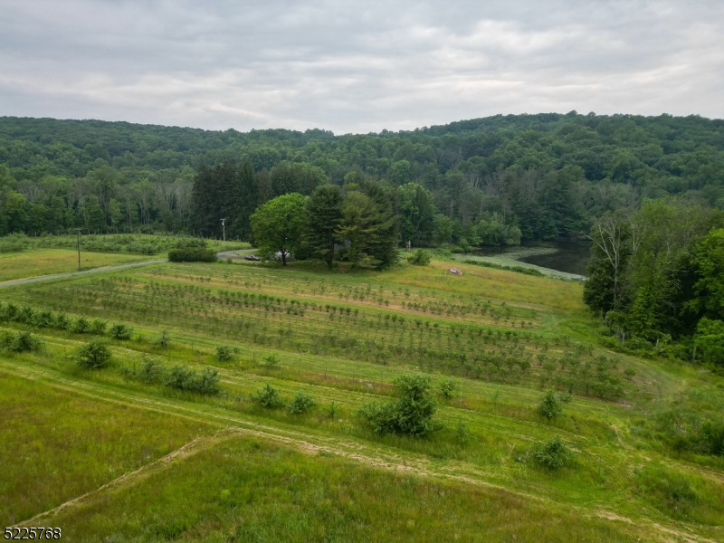 131 Karrville Road Port Murray, NJ 07865 - Photo 4 of 23 a view of a big yard with large trees