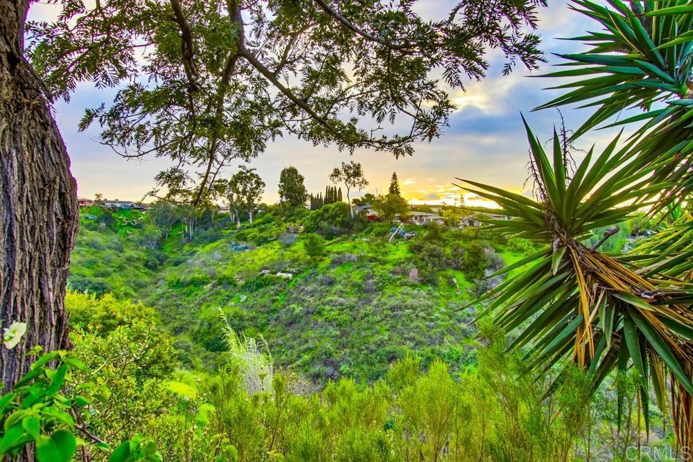 5484 Redding Road San Diego, CA 92115 - Photo 60 of 62