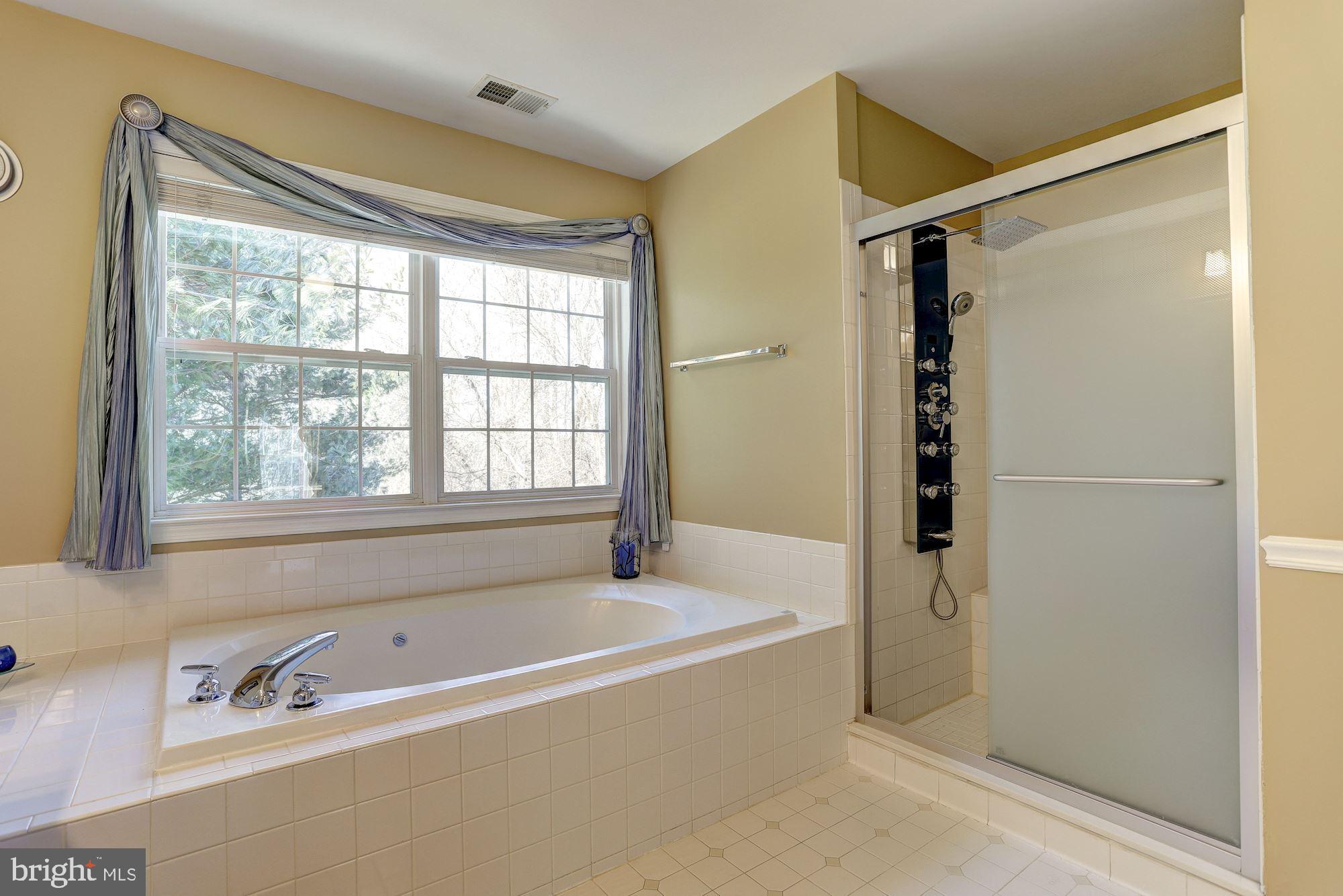 6413 Ripe Apple Lane Columbia, MD 21044 - Photo 18 of 36 Master Bath