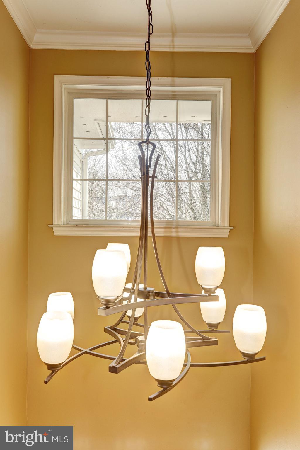 6413 Ripe Apple Lane Columbia, MD 21044 - Photo 3 of 36 Newly Installed Decorative Lighting