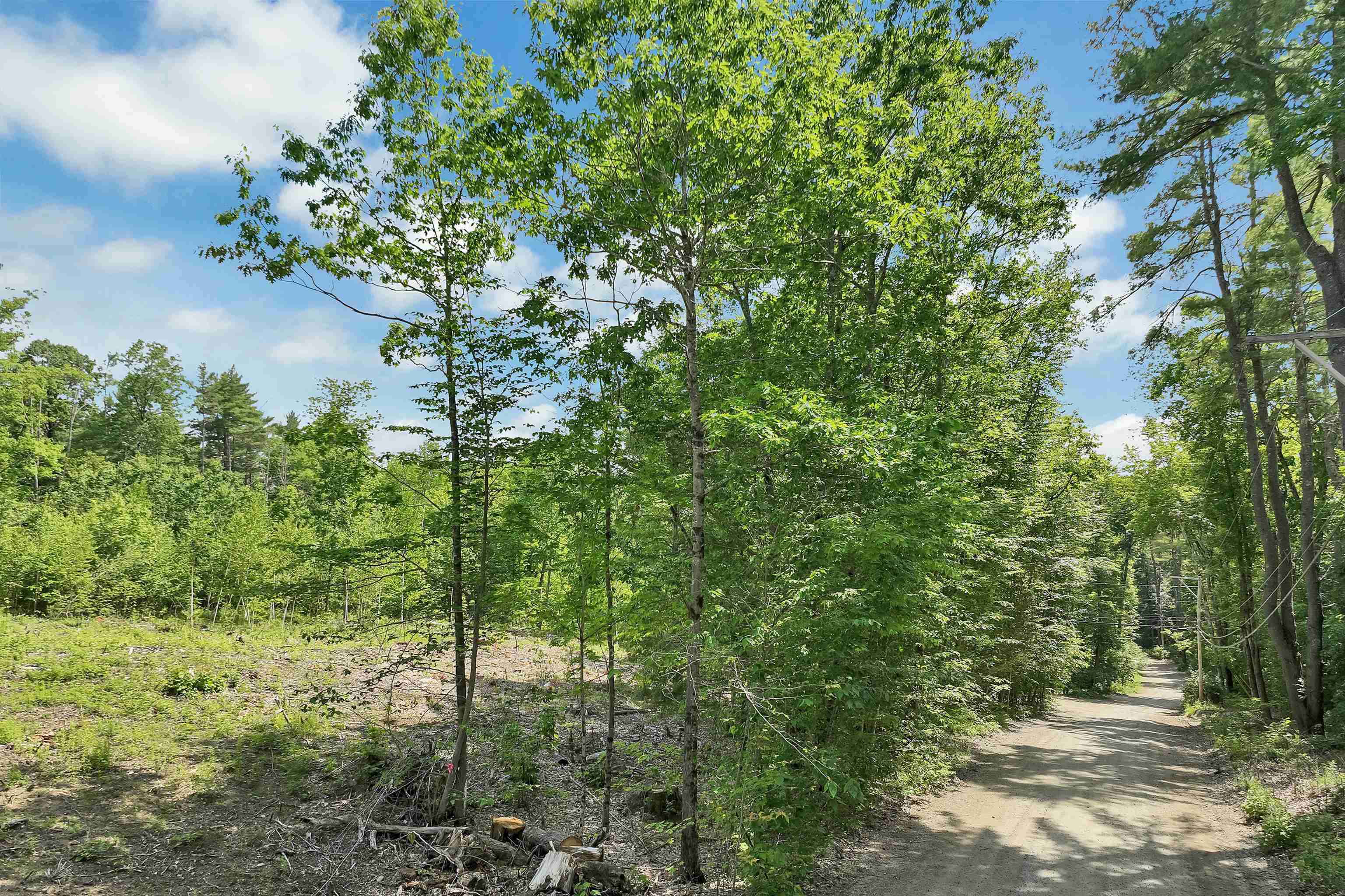 40 Lowden Road Barnstead, NH 03225 - Photo 4 of 34