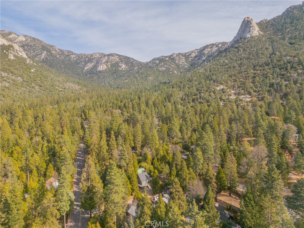 25150 Fern Valley Road Idyllwild, CA 92549 - Photo 40 of 43