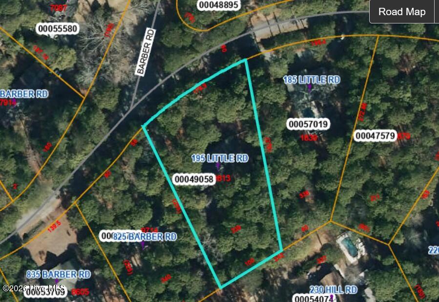 195 Little Road Southern Pines, NC 28387 - Photo 3 of 33