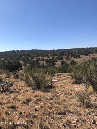 a view of a dry yard