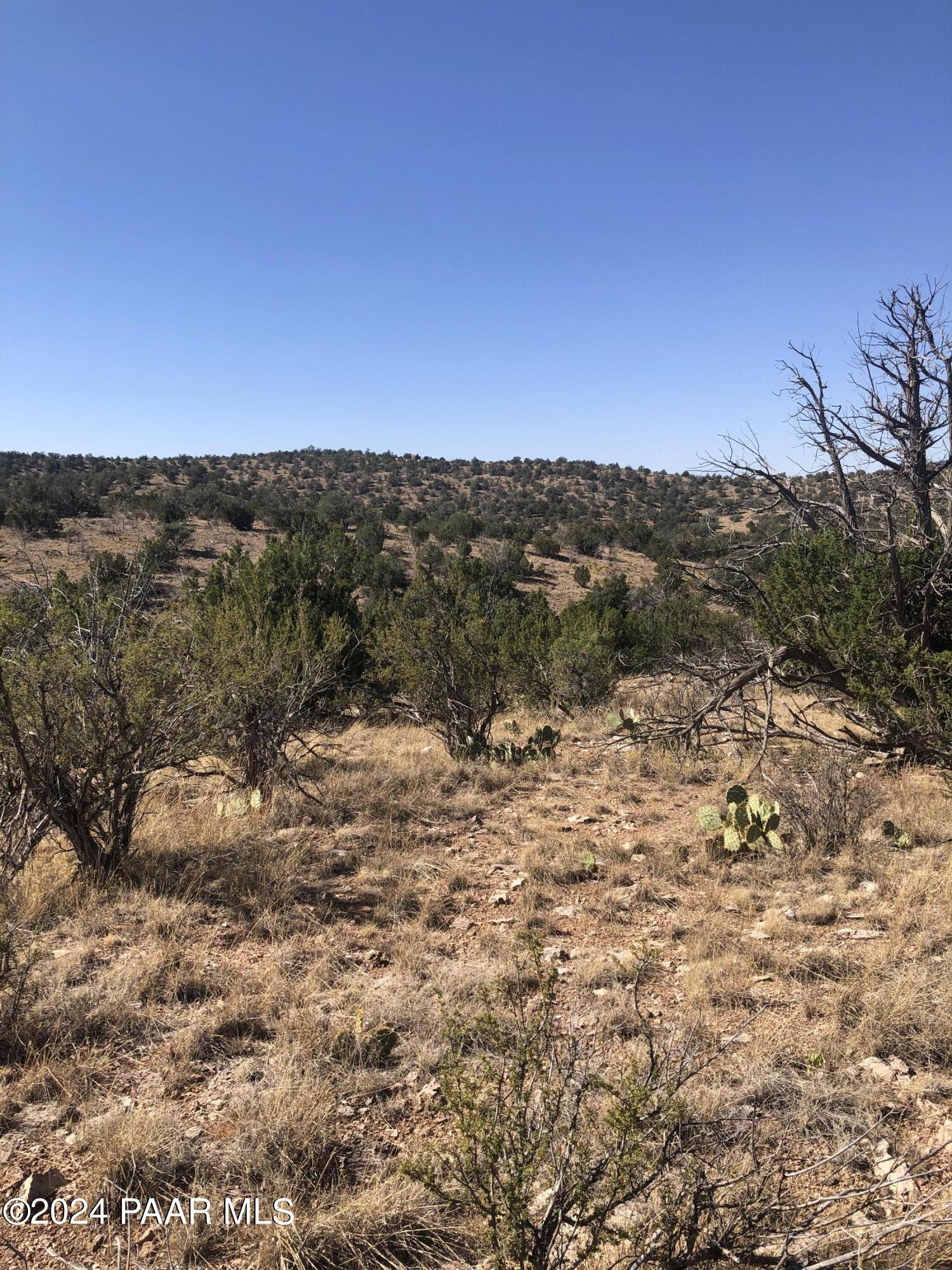 29605 Rock Ridge Road Seligman, AZ 86337 - Photo 5 of 9 a view of mountain view with sky