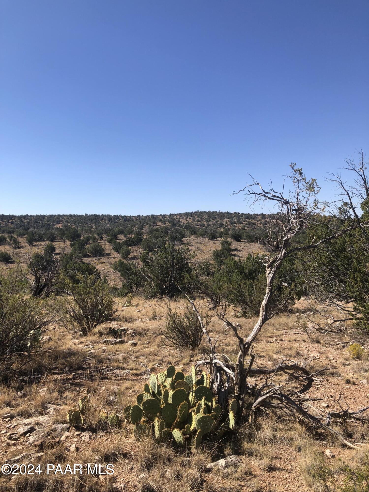 29605 Rock Ridge Road Seligman, AZ 86337 - Photo 6 of 9 a view of mountain view with beach