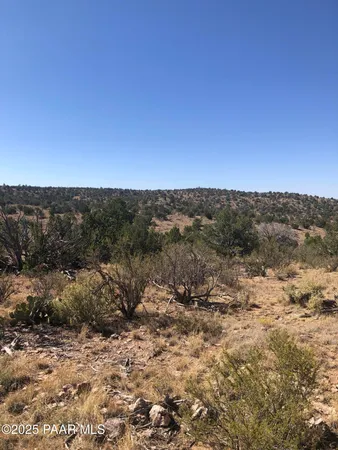 a view of a dry field with trees in background