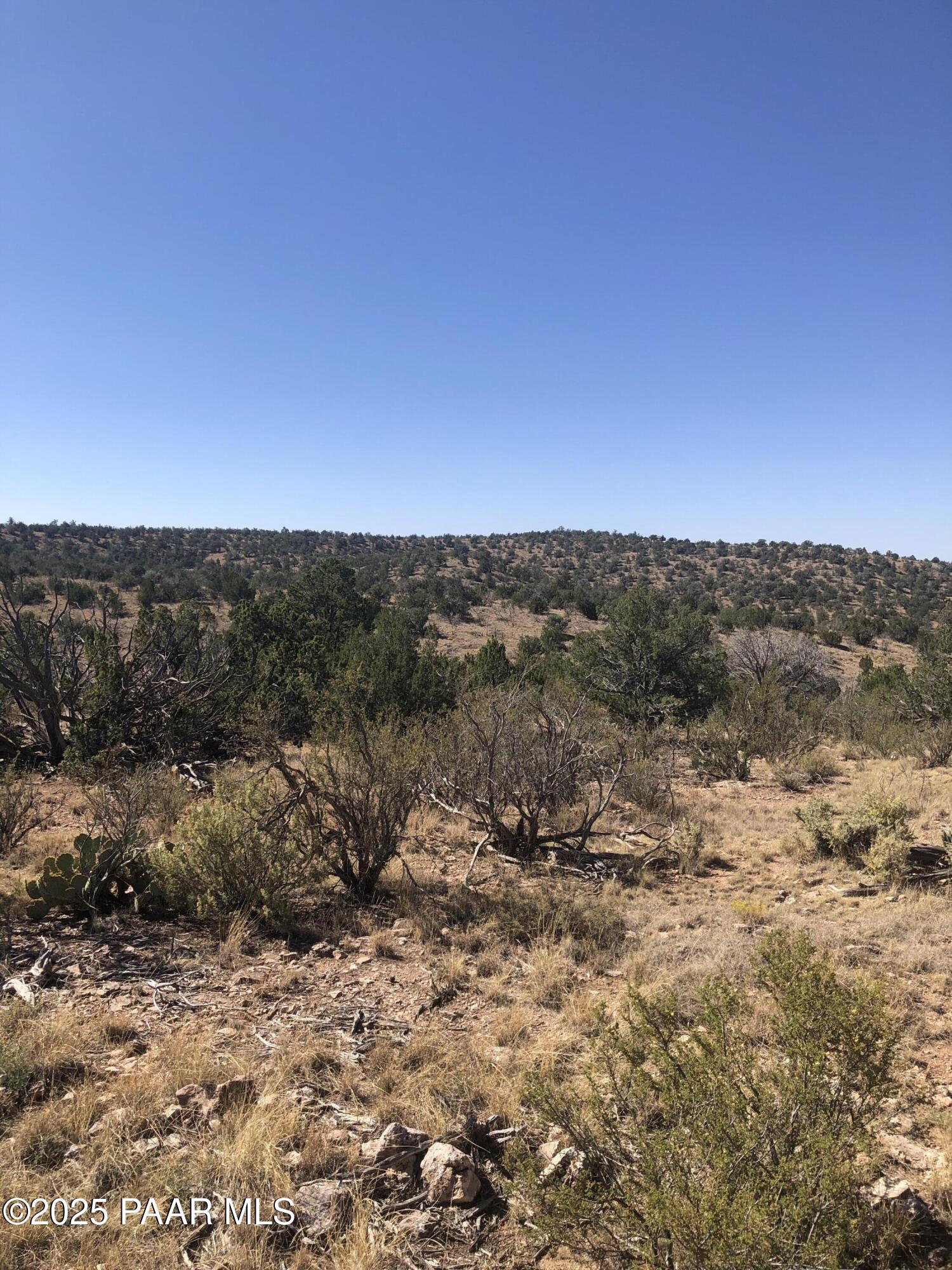 29605 Rock Ridge Road Seligman, AZ 86337 - Photo 7 of 9 a view of a dry field with trees in background