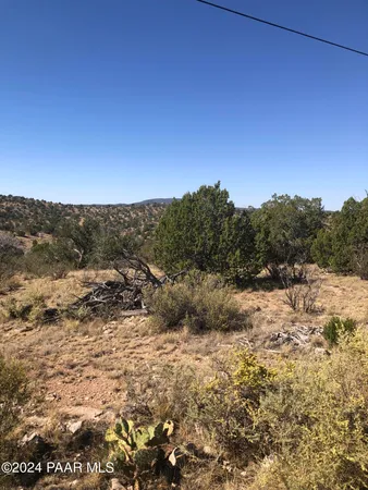 a view of a dry yard with trees