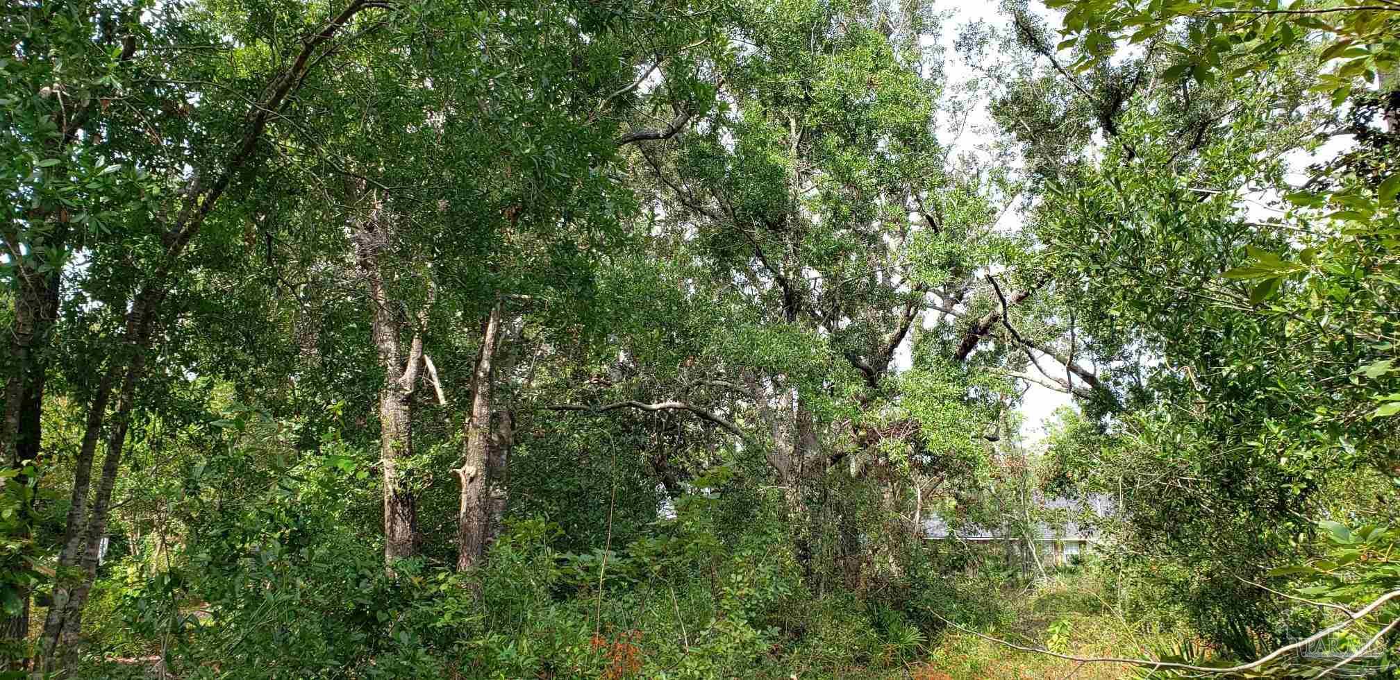 16460 Innerarity Point Road Pensacola, FL 32507 - Photo 10 of 11 Gallery Image 10