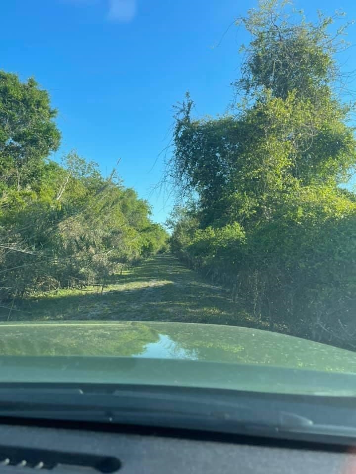 1208 Overdale Road St. Augustine Beach, FL 32080 - Photo 14 of 22