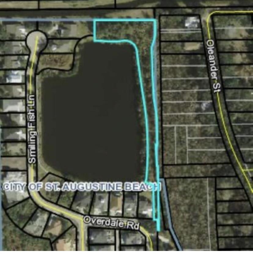 1208 Overdale Road St. Augustine Beach, FL 32080 - Photo 19 of 22