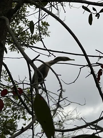 $349,900 | 1208 Overdale Road, St. Augustine Beach, FL 32080